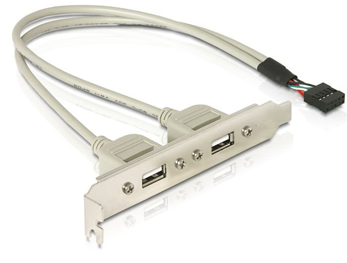 Delock Slotblech 2x USB 2.0 Typ A Buchse extern