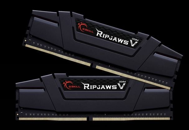 G.Skill Ripjaws V 32 GB (2x 16GB) Kit UDIMM DDR4-3200 F4-3200C16D-32GVK