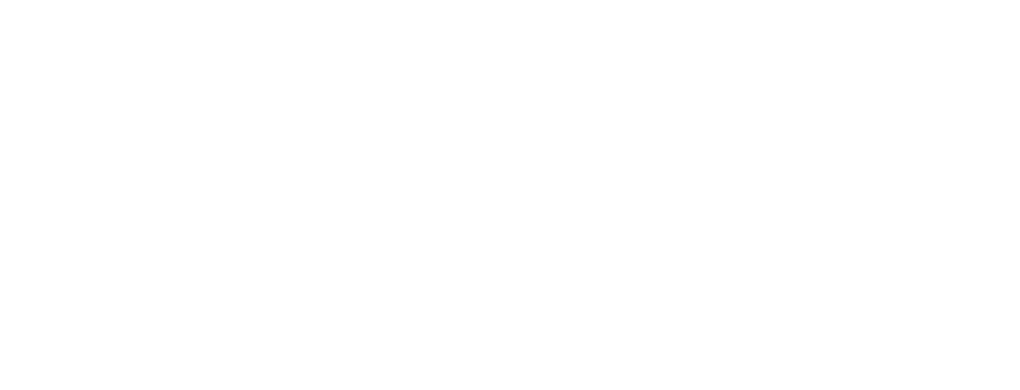 ServerFin